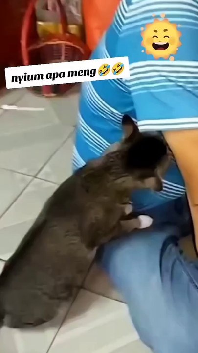 Pusing kan lu😂😂