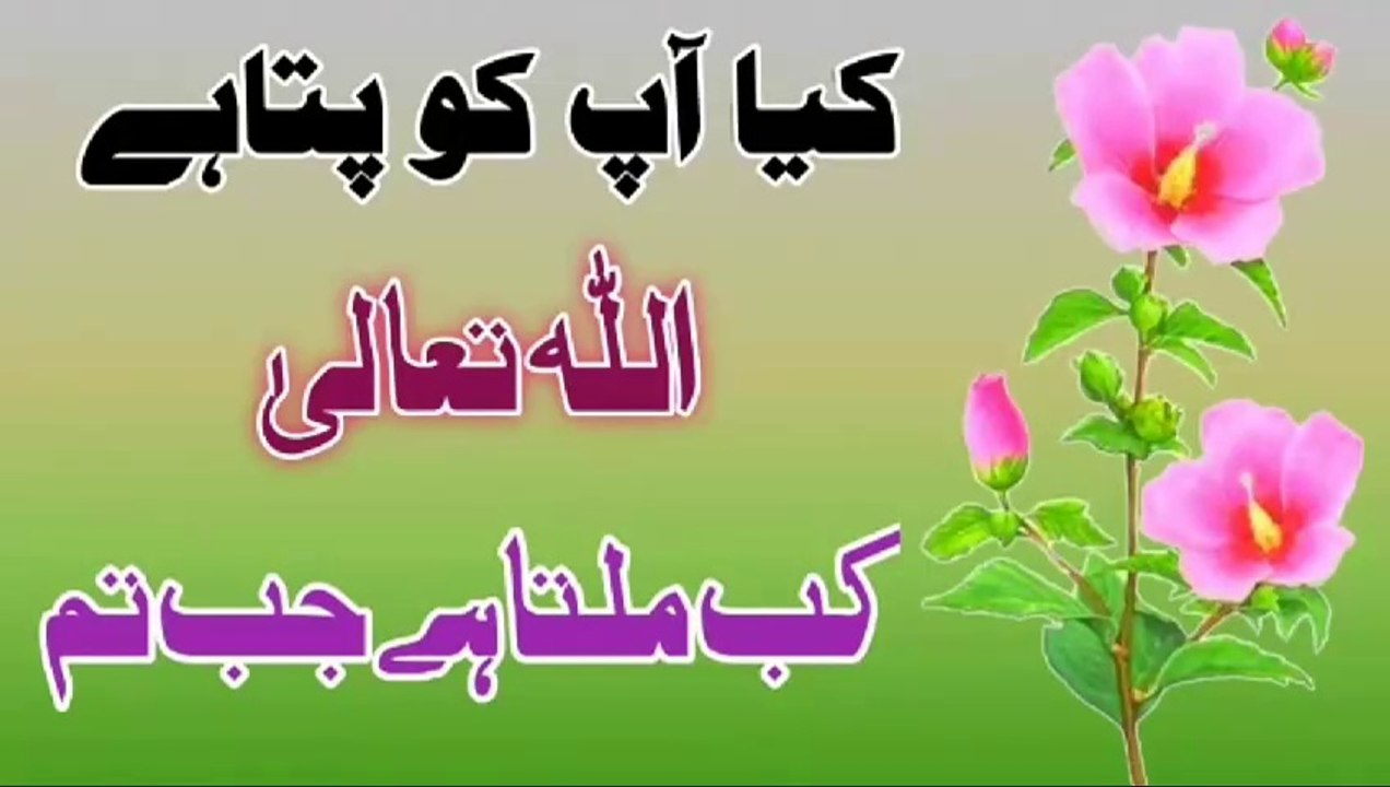 Allah Kab Milta Hai🔥! Urdu Islamic Quotes💥! Best Urdu quotes💯! Islamic YouTube🔥! ISLAMIC URDU MEWAT