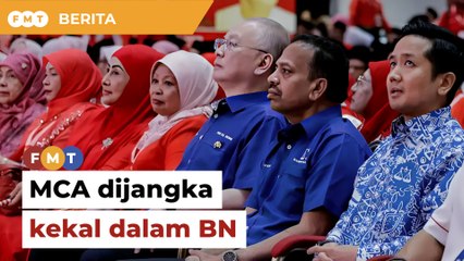 Saling memerlukan, MCA dijangka kekal dalam BN, kata penganalisis