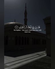 Beautiful Qur'an Recitation