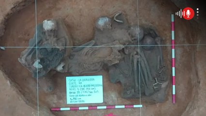 Encontraron más de 200.000 piezas arqueológicas en obras de la avenida Caracas