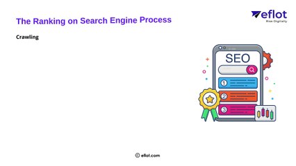 Why Your Site Isn’t Ranking (Expert SEO Tips Inside!) | Eflot