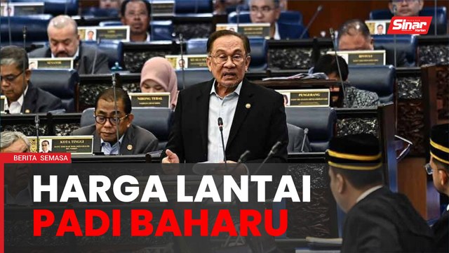Harga lantai padi baharu diumum minggu depan - PM