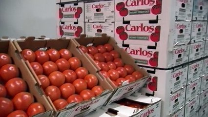 Global Markets Plunge as Trump's Trade War Escalates 🌍