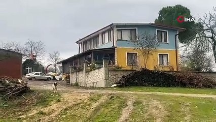 Tartıştığı annesini evde tüfekle vurarak öldürdü