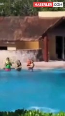 Yunus balığı, gösteri sırasında köprüye çarparak öldü