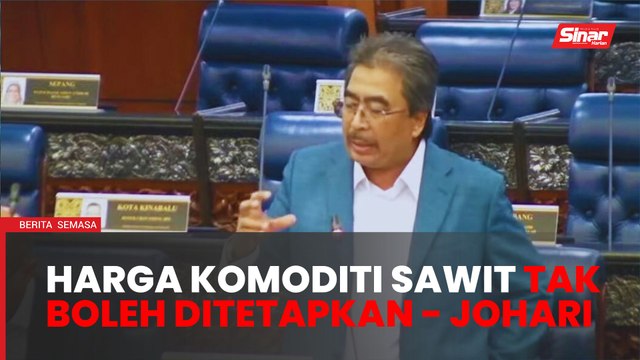 Harga komoditi sawit berdasarkan bekalan dan permintaan - Johari Ghani