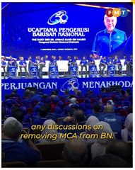 No plans to remove MCA from BN, says Zahid