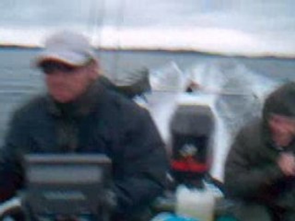 Vastervik Fundy's Carnassiers Bateau