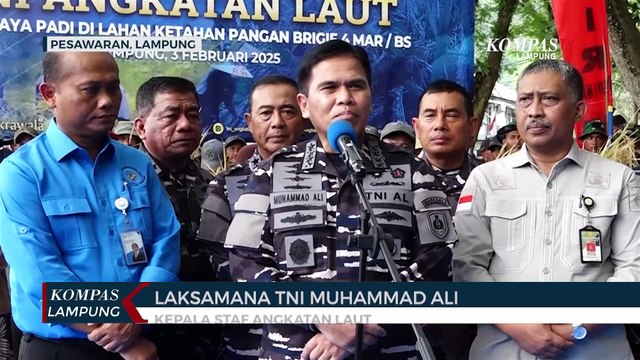 Dukung Makan Bergizi Gratis, KSAL Pimpin Panen Raya Padi di Lampung