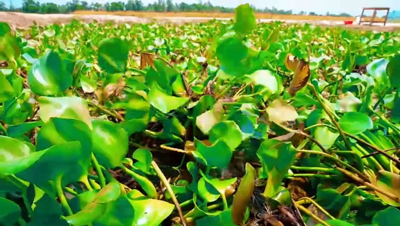 Hilarious Reactions from Prank Masters