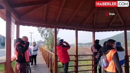 Bursa ve Yalova'da Yaban Ördekleri Suya Salındı