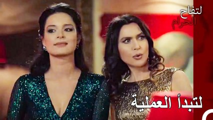 اي خطة لم تسري على ما يرام لهذا الثنائي حتى تسري هذه؟ - التفاح الحرام الحلقة ال 92