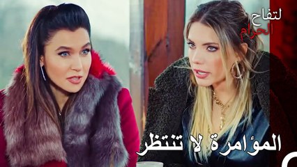 تبدأ خطة جديدة بعدما تنتهي التي قبلها عندنا - التفاح الحرام الحلقة ال 93