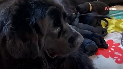 Ils filment une vidéo dans le désert : la forme qui s'approche d'eux a un message à leur faire passer en urgence (vidéo)