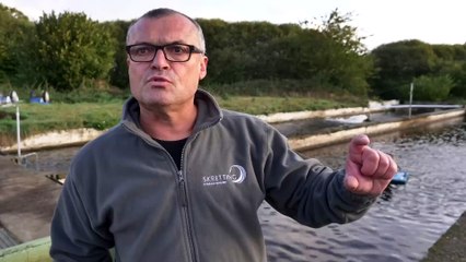 Une journée avec un éleveur de truite ! - Découverte métier