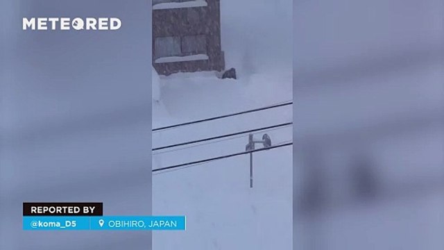 A historic snowfall paralyzes the city of Obihiro, Japan