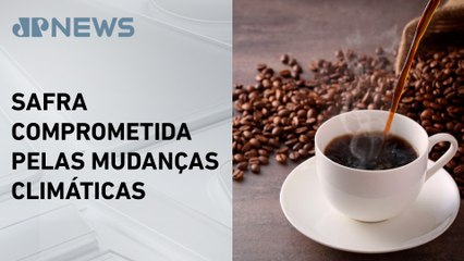 Preço do café dispara e deve continuar alta neste ano