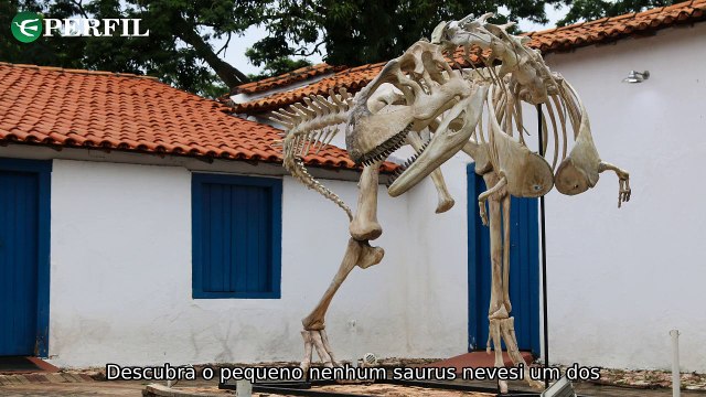 Descubra o maior dinossauro brasileiro, o documentário de P. Diddy e doramas inspirados em histórias reais