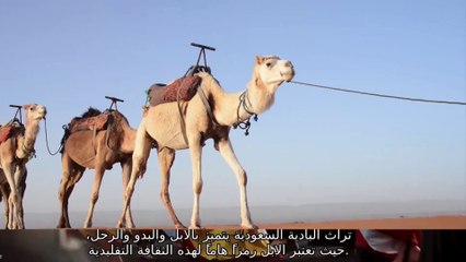 قصة وقصيدة من قبيلة شمر