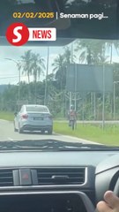 Helmet on, escape mode activated: Duo ditches bike and dashes into jungle at sight of cops