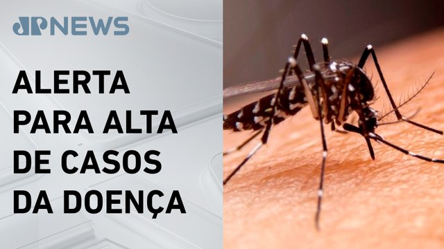 Minas Gerais tem primeira morte por febre amarela em 2025