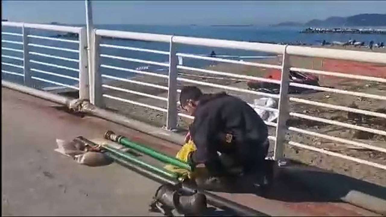 Marina di Massa, il sopralluogo la pontile dopo l'incidente della nave