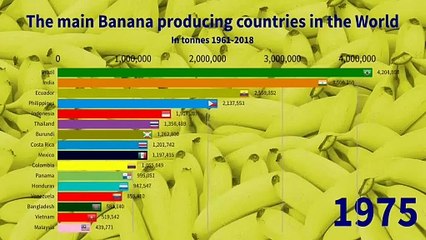 2.1 - The main Banana producing countries in the World 1961-2018
