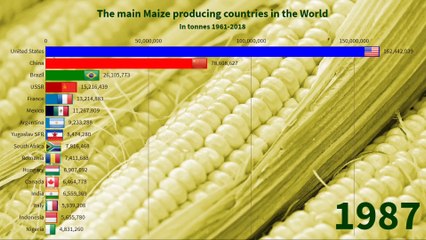 3 - The main Maize producing countries in the World