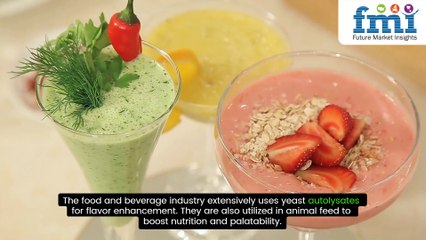 Yeast Autolysates Market: Growth, Trends, and Future Outlook | Industry Insights