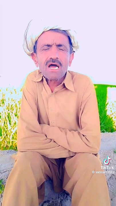 funny videos