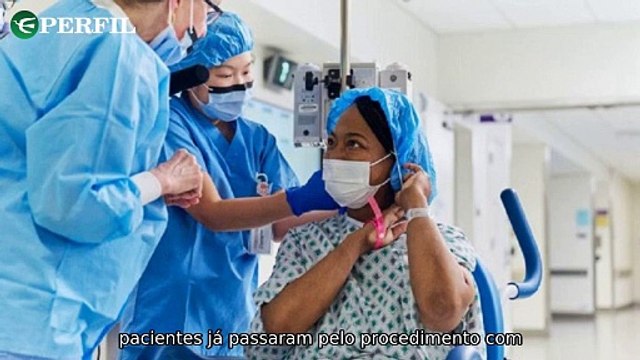Transplantes de rins de porco, caça ilegal e Polo Norte: Notícias surpreendentes que chocam o mundo.