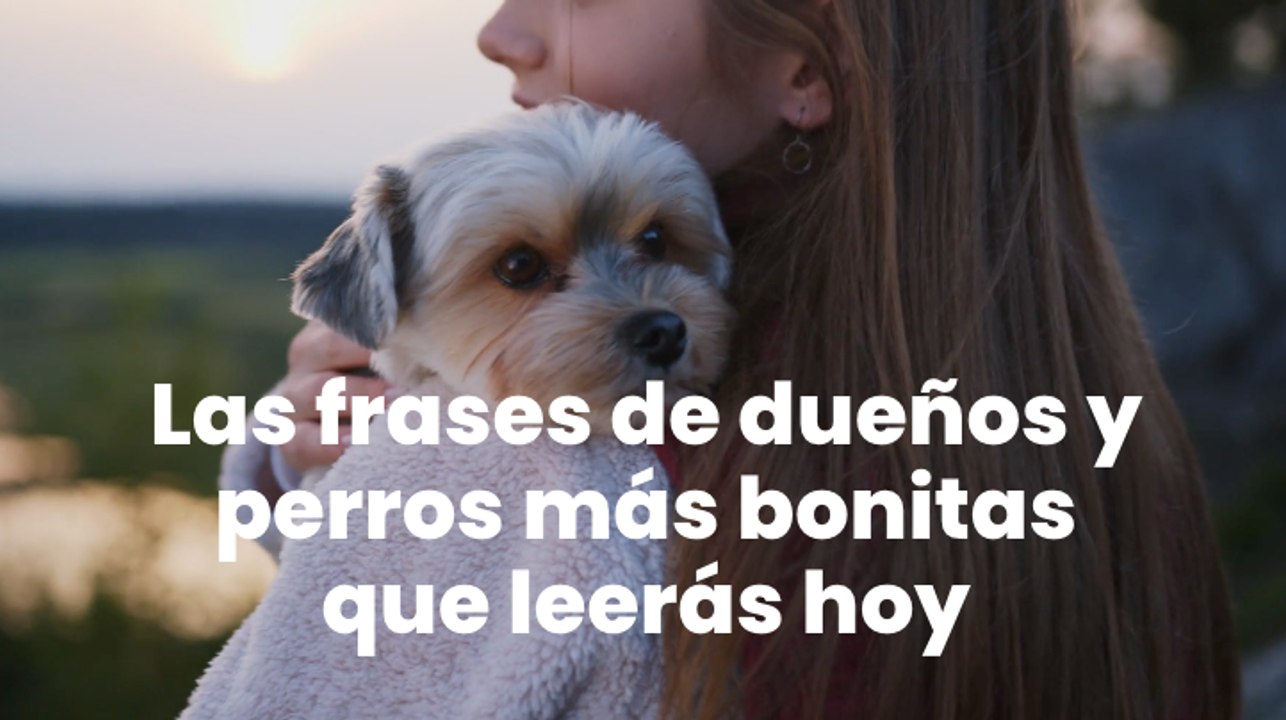 Las frases de dueños y perros más bonitas que leerás hoy