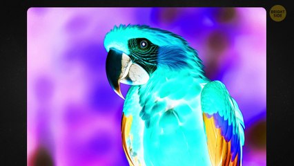 The Most Confusing Optical Illusions You Need to See