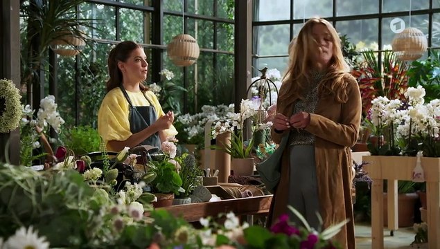 Rote Rosen 4101 folge