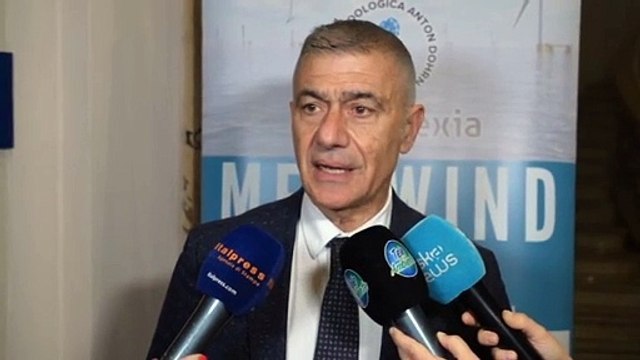 Pecoraro Scanio: eolico offshore risposta a emergenza clima