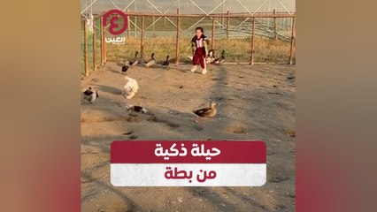 حيلة ذكية من بطة