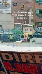 POLICÍA AYUDA A DOS PERRITOS A CRUZAR  LA CALLE