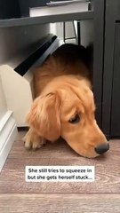 Buying a whole new bed frame asap 😭