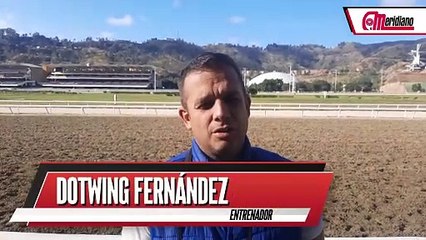¡Dotwing Fernández, Entrenador!