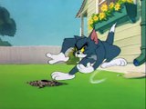 Tom Ve Jerry - 051 - Safety Second (1950)