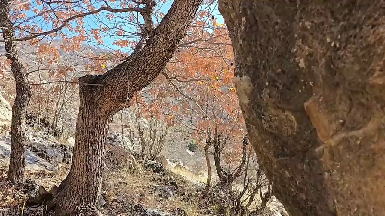 Building a Stone Shelter Against a Rock Wall – Solo Wilderness Survival 🏕️⛰️