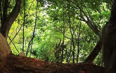 A Massive Fire Uncovers a Hidden Rock Shelter – Wilderness Construction 🔥⛰️
