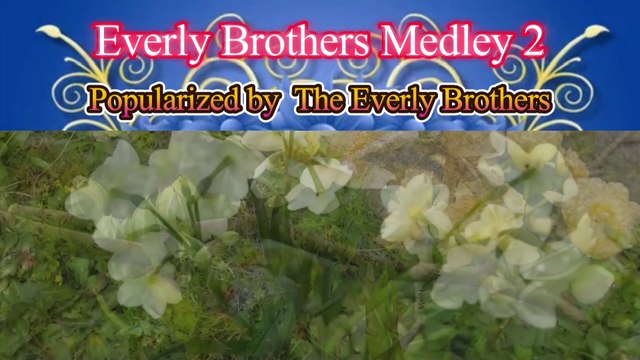 The Everly Brothers Medley 2 Video Karaoke