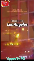 Broken and betrayed  by love