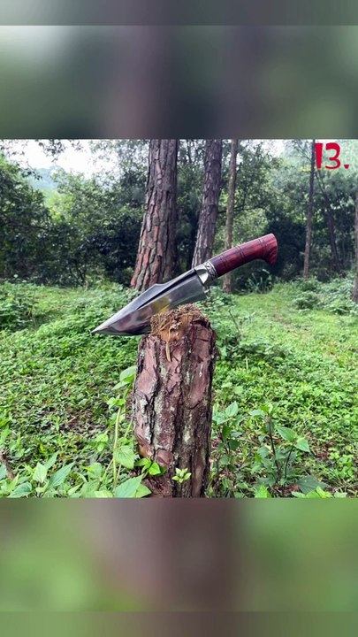 Razor-Sharp Performance: Best Blades for Hunting, Camping, and Outdoor Adventures. Avail all 30 product links mentioned in description