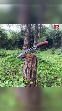 Razor-Sharp Performance: Best Blades for Hunting, Camping, and Outdoor Adventures. Avail all 30 product links mentioned in description