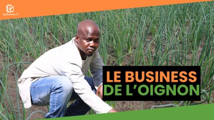 Burkina Faso : Le business de l’oignon