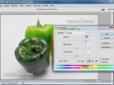 Adobe Photoshop CS3 : Changement de couleurs