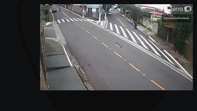 Idoso morre ao ser atropelado na faixa de pedestre por motoqueiro que empinava veículo